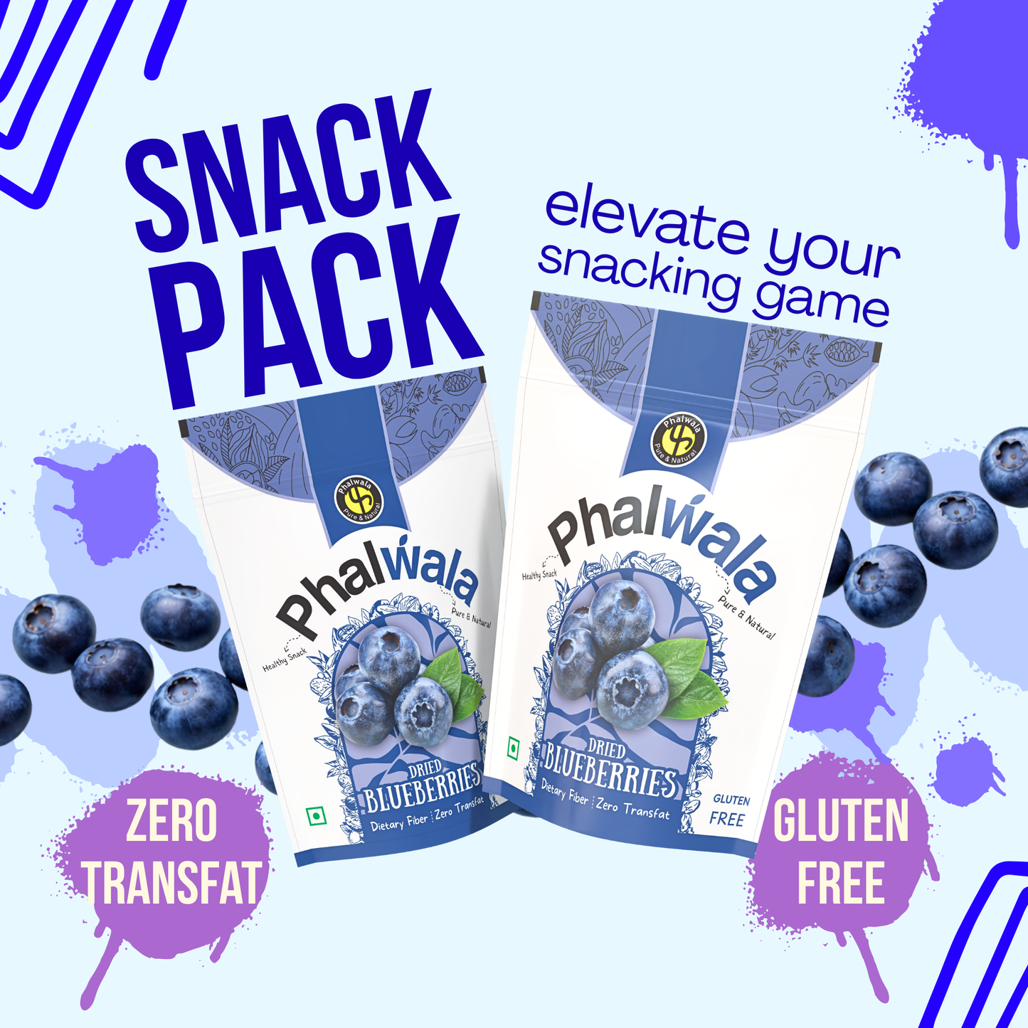 Dried Blueberries Snack Pack (400 gms)